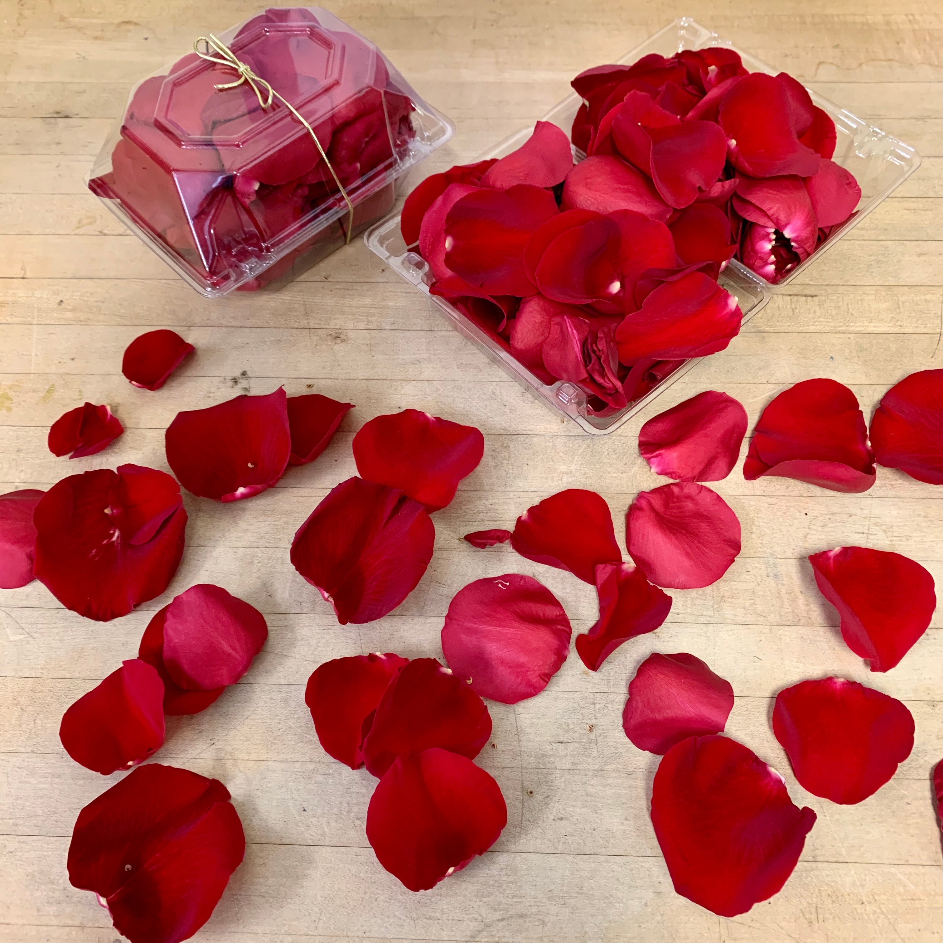 Romantic Rose Petals